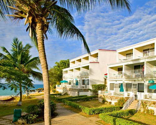 Placeholder - Image_medium