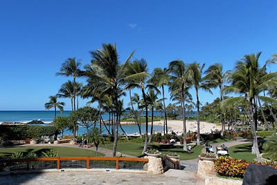 Placeholder - Image_medium